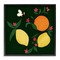 Stupell Industries Citrus & Bumble Bee Framed Giclee Wall Art Design by Michelle Ingari Designs